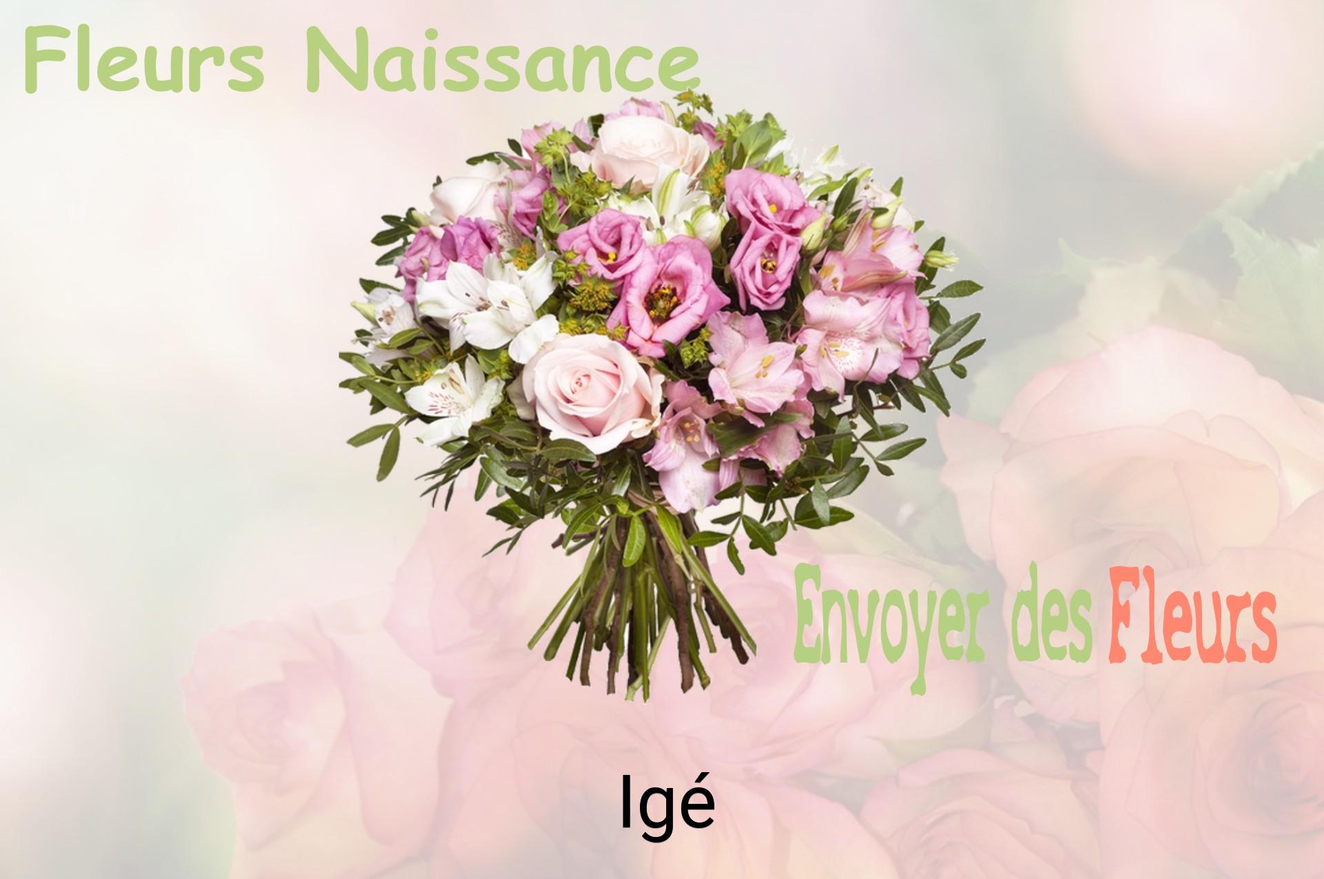 Bouquet de fleurs de naissance livré à Igé